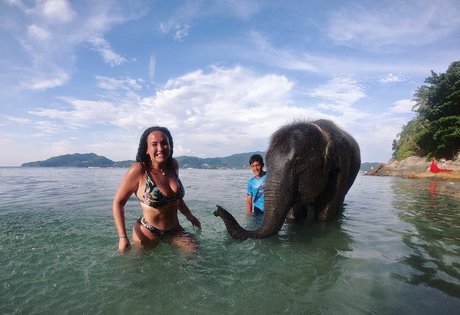 Tana Habibi Profilfoto