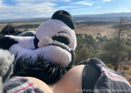 kleiner schwanz shemale onlyfans perfekte kunst bild