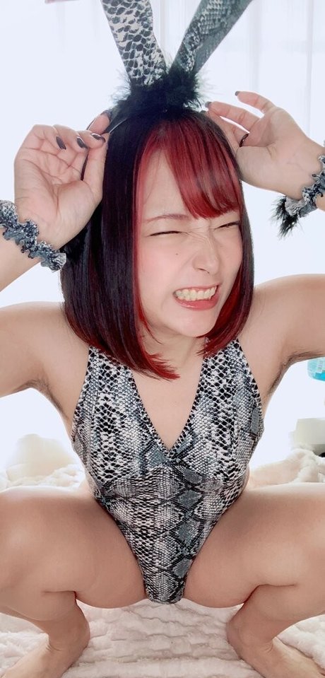 negion ch porno erwachsene bilder