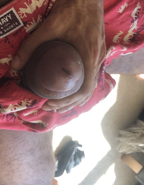 thefackelmayer sexy nackte galerie