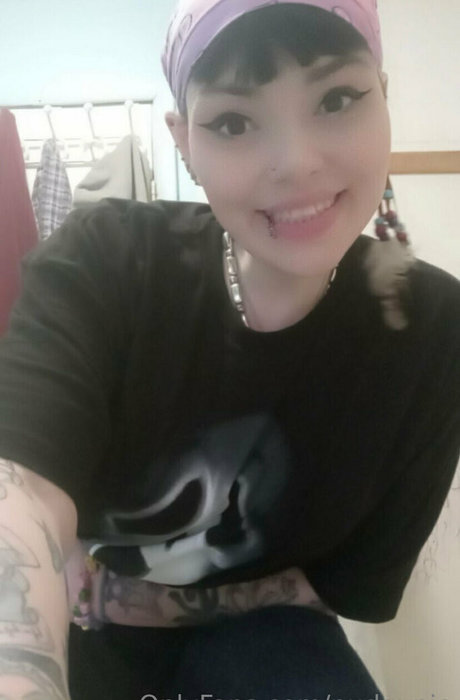 pudgypie exklusive perfekte bild