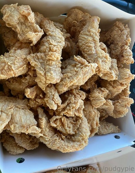 pudgypie erwachsene exklusive bild