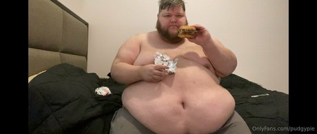 pudgypie freie schöne bilder