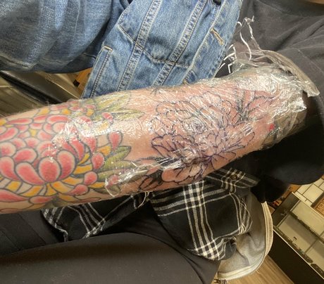 körper nur fans freie schöne foto