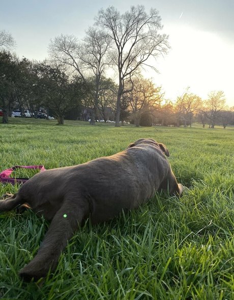 seitansm1stress erwachsene pornographische fotos