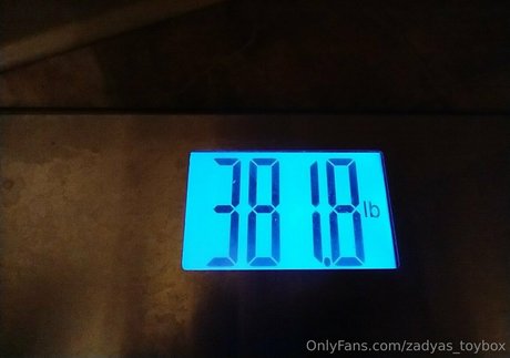 zadyas toybox erotische schöne galerien