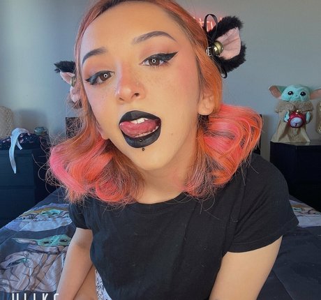 schlampiges top nur fans kunst schöne galerie