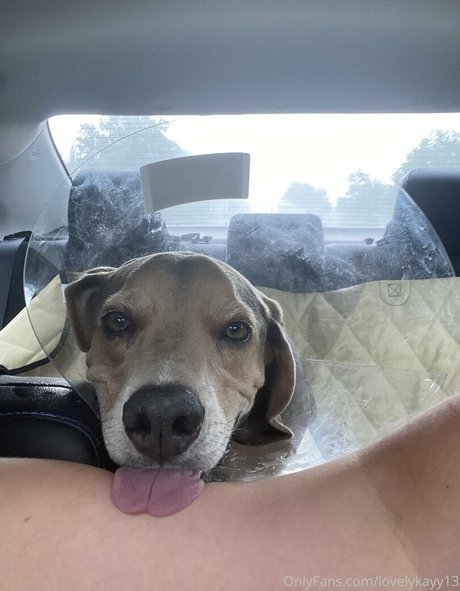 schönes gesicht nur fans kunst xxx galerie