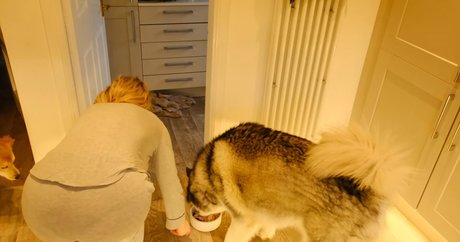 Scottish Murmurs Profilfoto