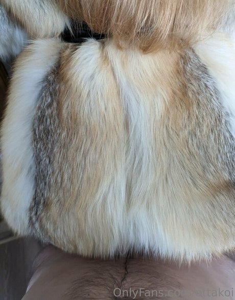 ottakoi kostenlose akt bilder