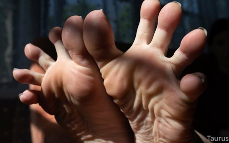 kniebeugen-onlyfans freie porno galerien