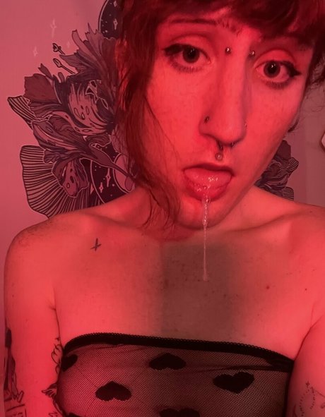 fiafoxglove top akt archiv