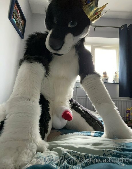 küken mit schwänzen onlyfans exklusive heiße foto