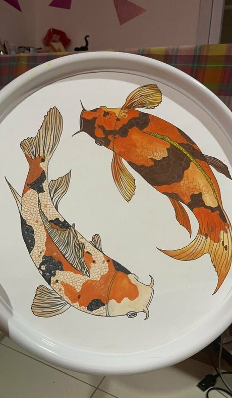 cookie2534 kostenlose top foto