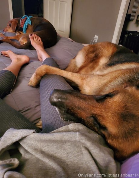 asiatische teen pussy onlyfans hd freie galerien