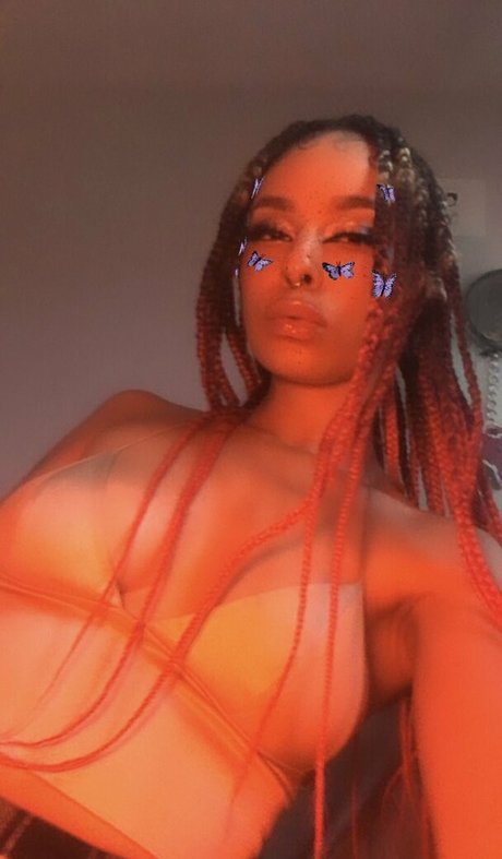 the dream exklusive schöne bilder