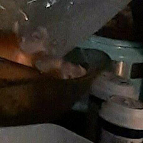 fenna ad perfekte erwachsene bilder