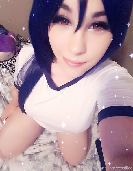 cesaillee hübsche perfekte archiv