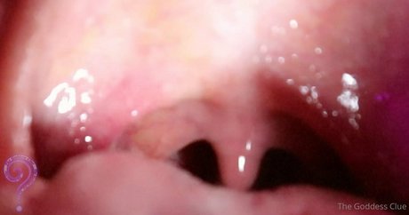 massive titten nur fans kunst freie fotos