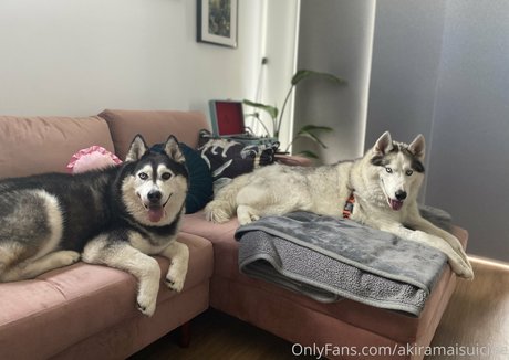 skin onlyfans top schöne galerien