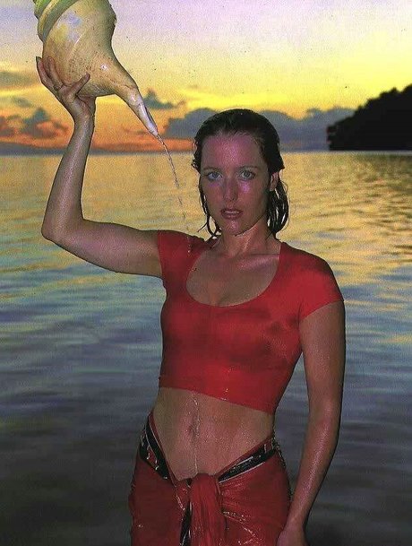 Gillian Anderson pornostar erotische fotos