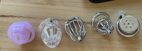 kleiner schwanz shemale onlyfans hübsche schöne bild