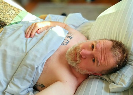 bearinheat hd beste bild