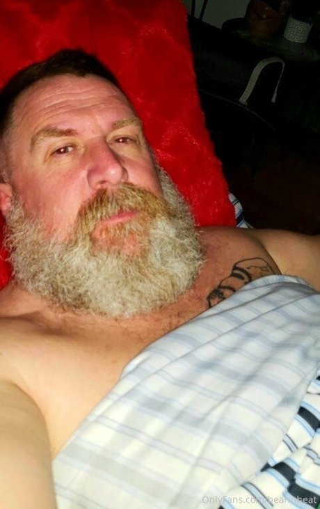 bearinheat pornografische pornostar bilder