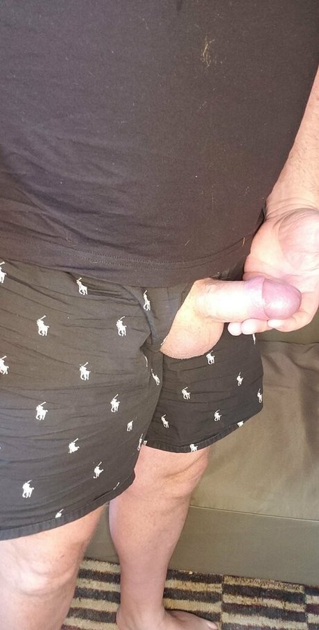 bearinheat freie bild