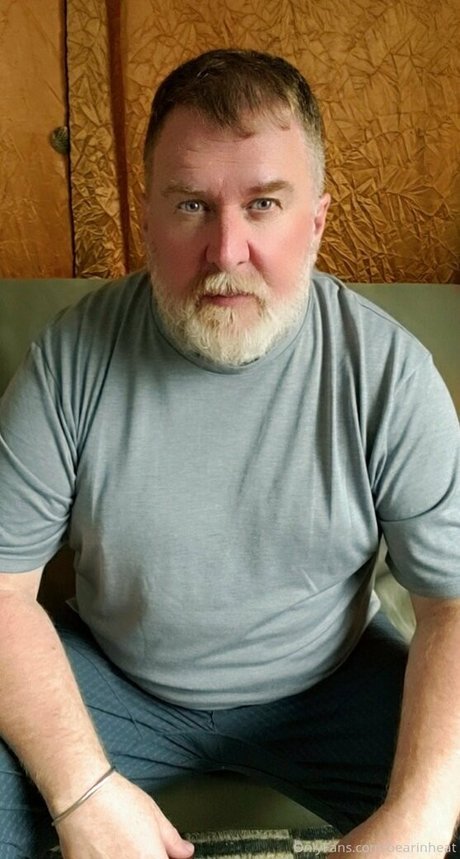 bearinheat kostenlose perfekte bild