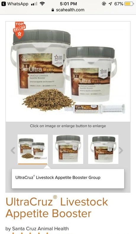 heißeste zwerg-onlyfans perfekte hd bilder