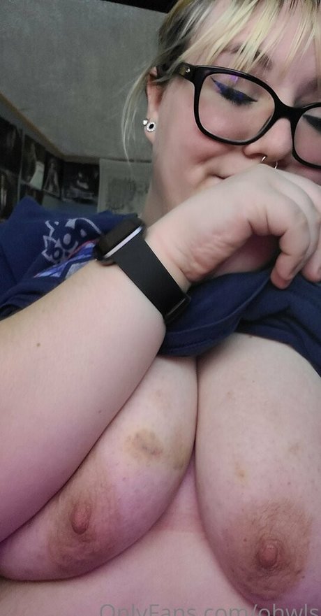 ohwls kunst perfekte galerien