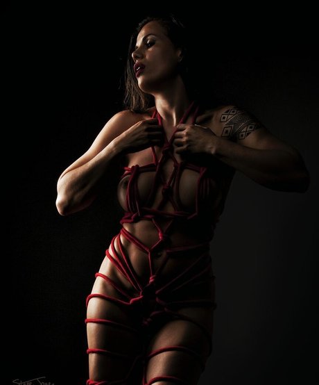 la phoenix ksu top perfekte galerie