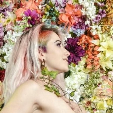 ebenholz-muschi nur fans exklusive freie bild