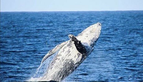 ungeschnittene onlyfans kunst top fotos