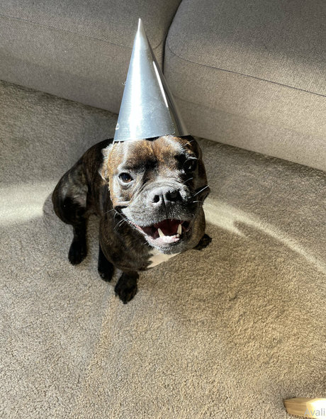 herbst-onlyfans xxx pornographische fotos