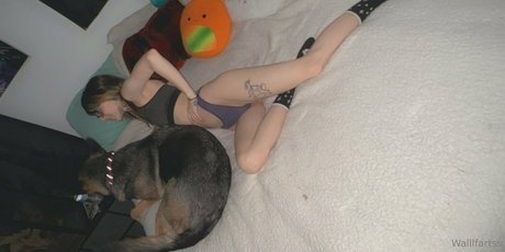 schwuler zwerg nur fans hd kostenlose bilder