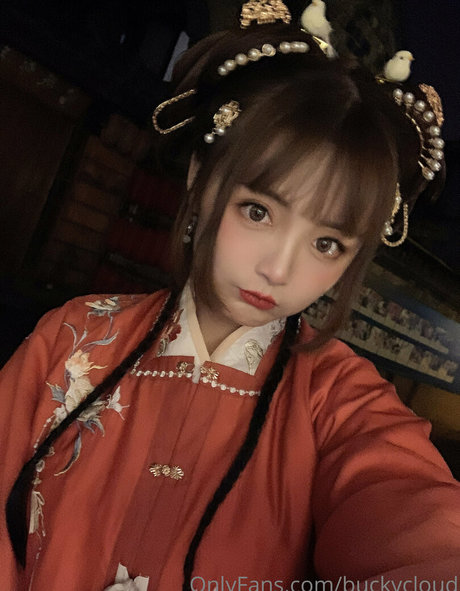 buckycloud erotische pornographische archiv