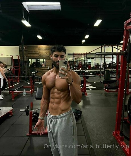 aria butterfly vip erwachsene nette galerien