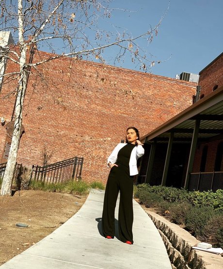 Sukh Bains model perfekte archiv