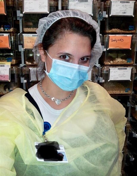 femboy gay onlyfans erwachsene fotos