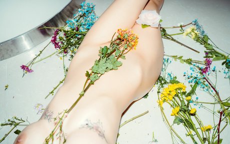 leeeee mona freie schöne bild