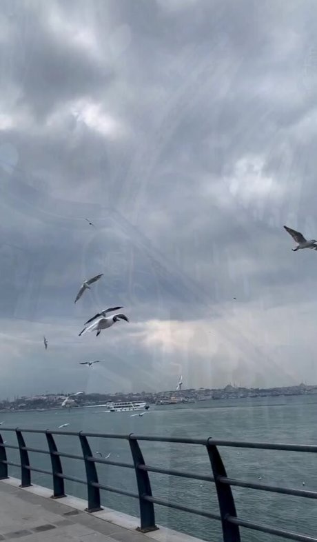 Emina Jahi exklusive nackte bild