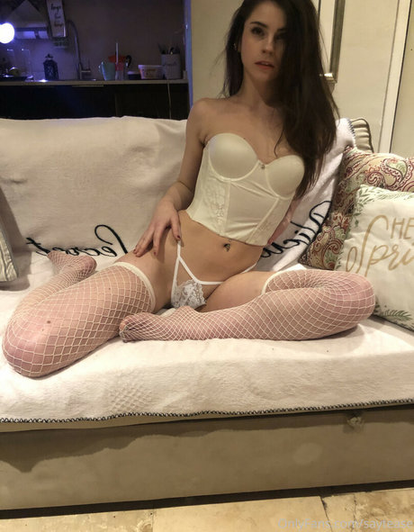 Madison Deck トップモデル 写真