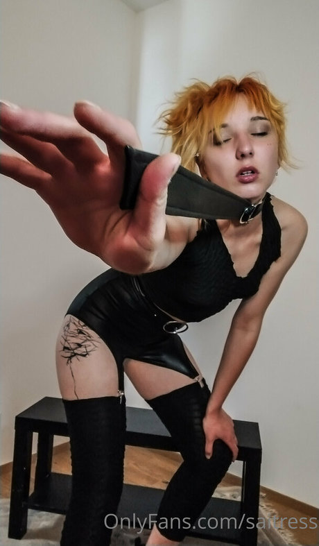 saitress ホットスター 写真