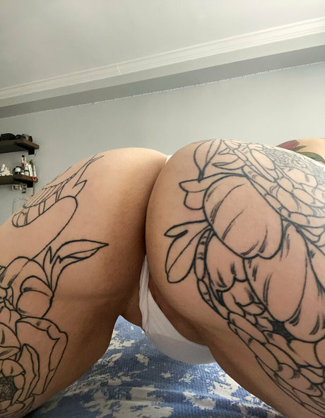 sbdolphin HDスター 写真