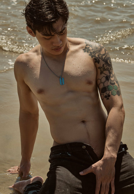 thetcornervn 素敵なスター 画像