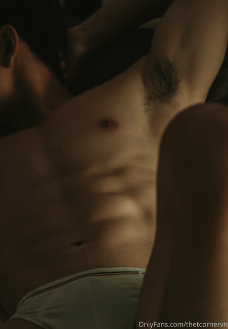 thetcornervn ポルノスター 無料 写真