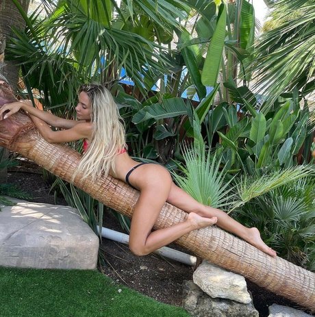 Abby Vouge HDモデル 写真