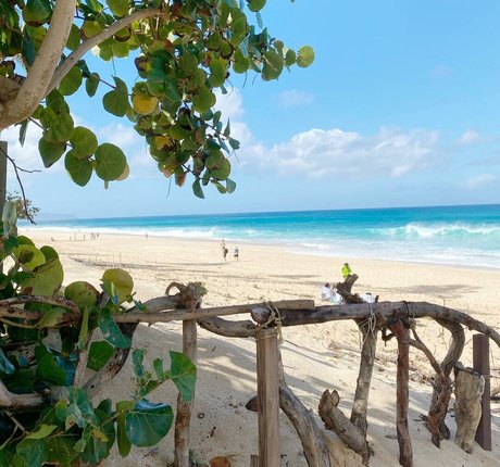 Amber Lee Lockhart トップスター ギャラリー